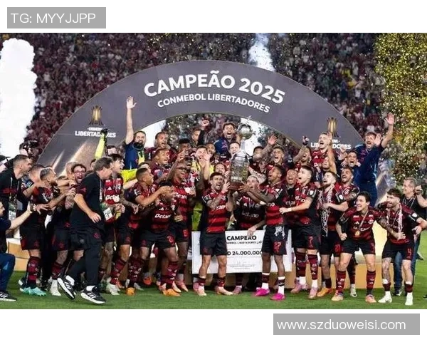 南美解放者杯纽维尔老男孩主场大捷